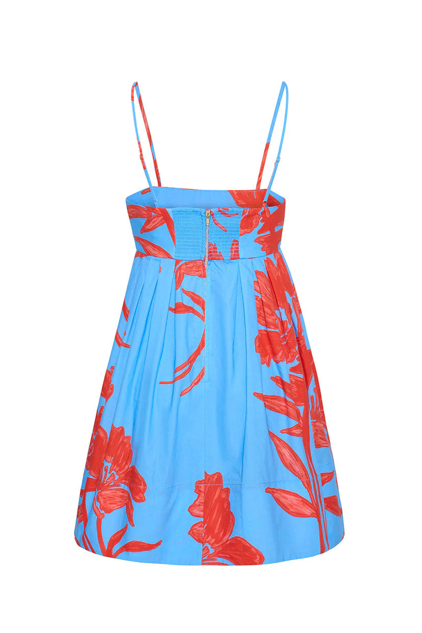 Cara Cara - Leo Mini Dress - Image 3