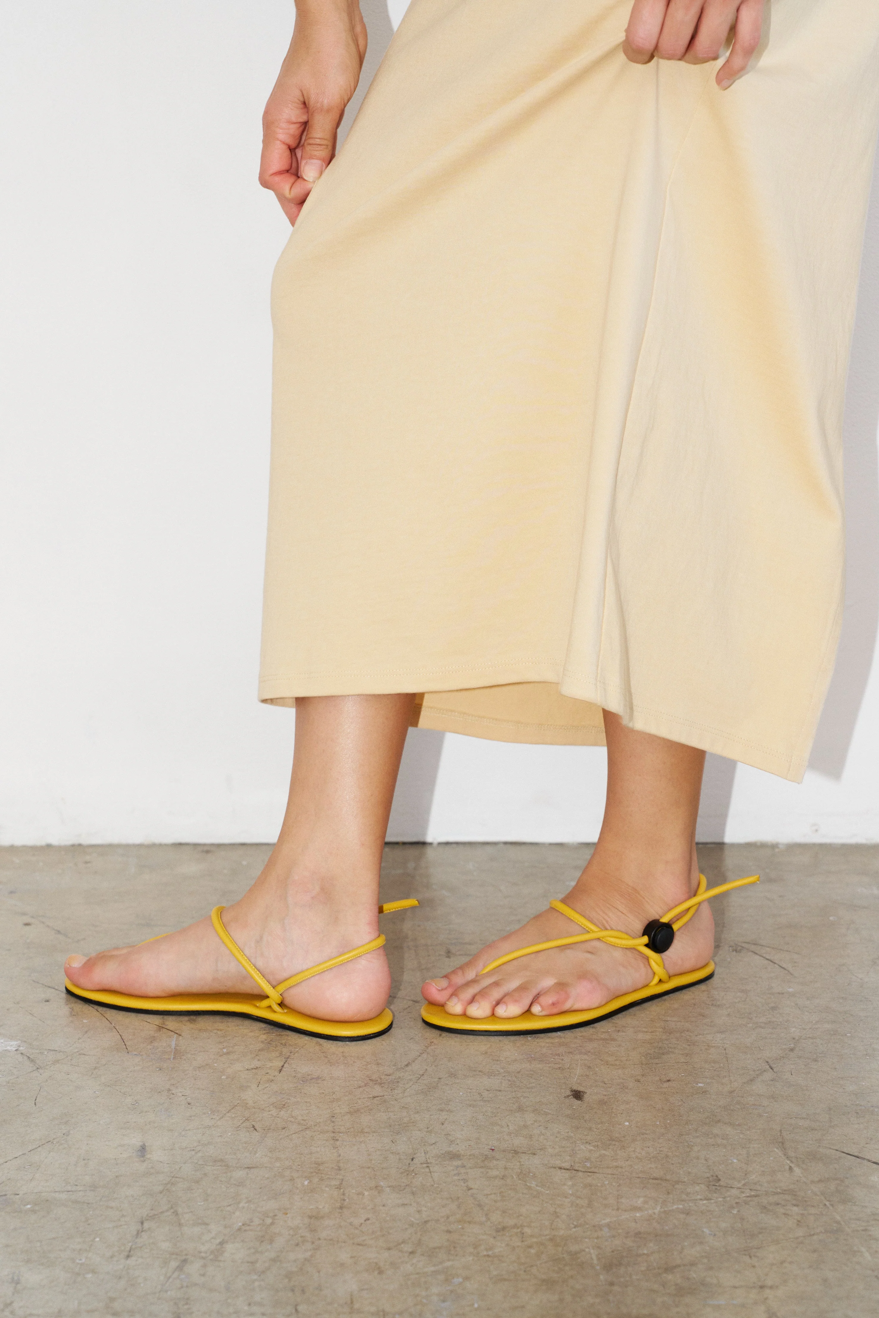 Jamie Haller - The String Theory in Sunny - Image 7