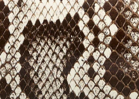 Khaite - Jane Flat in Natural Python - Image 5