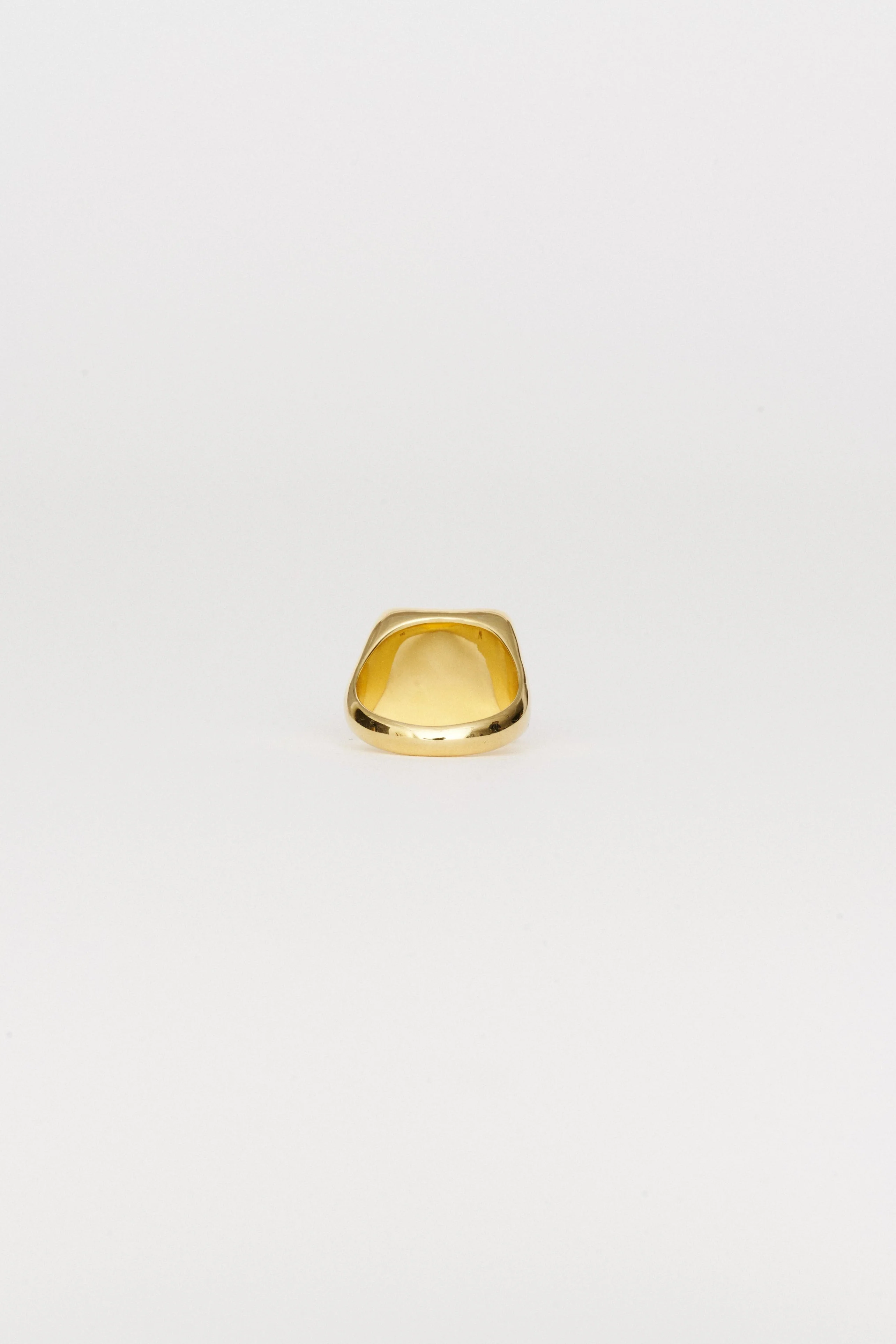 Jamie Haller - The Luques Square Signet Ring in Tigers Eye - Image 18