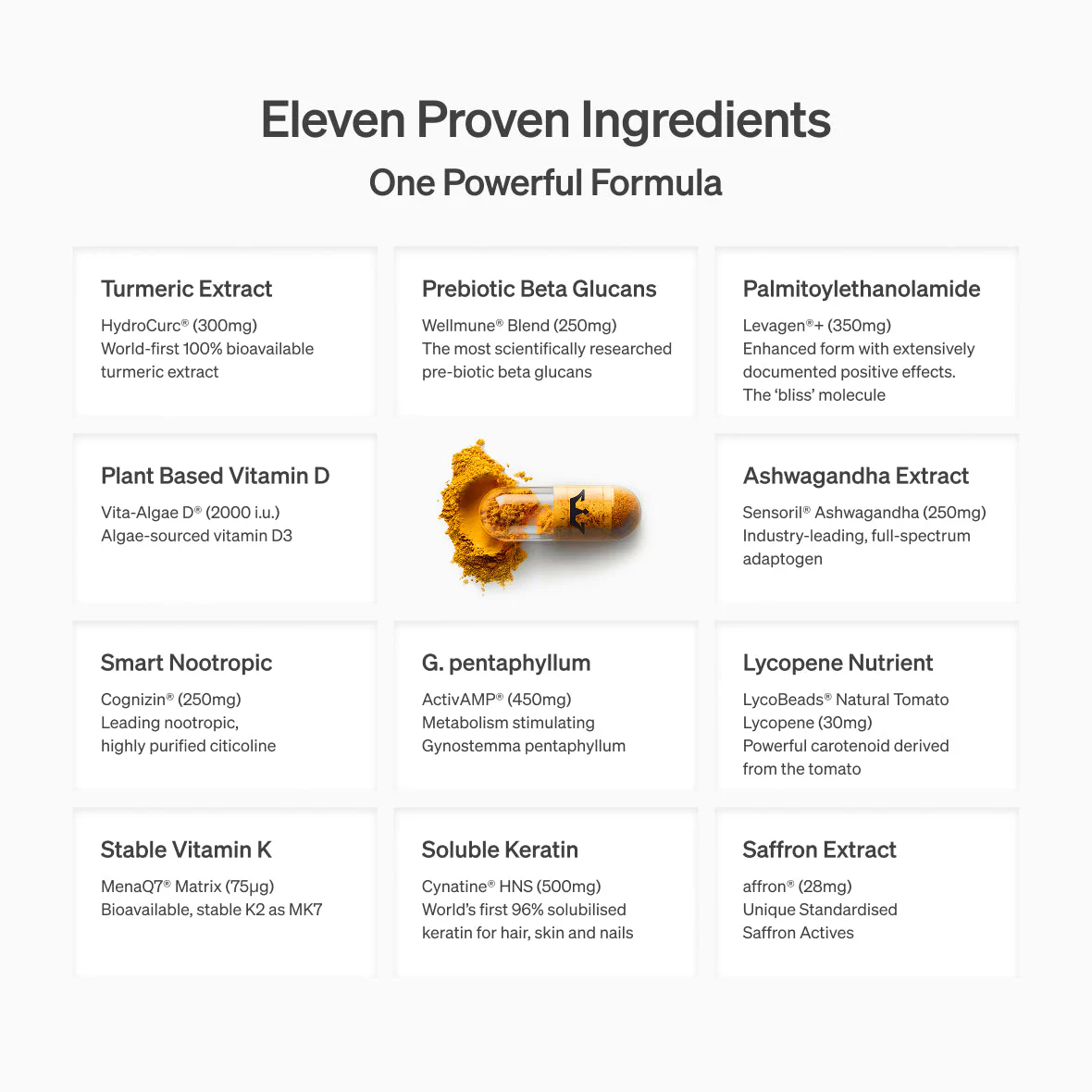 Lyma - The LYMA Supplement - Image 29