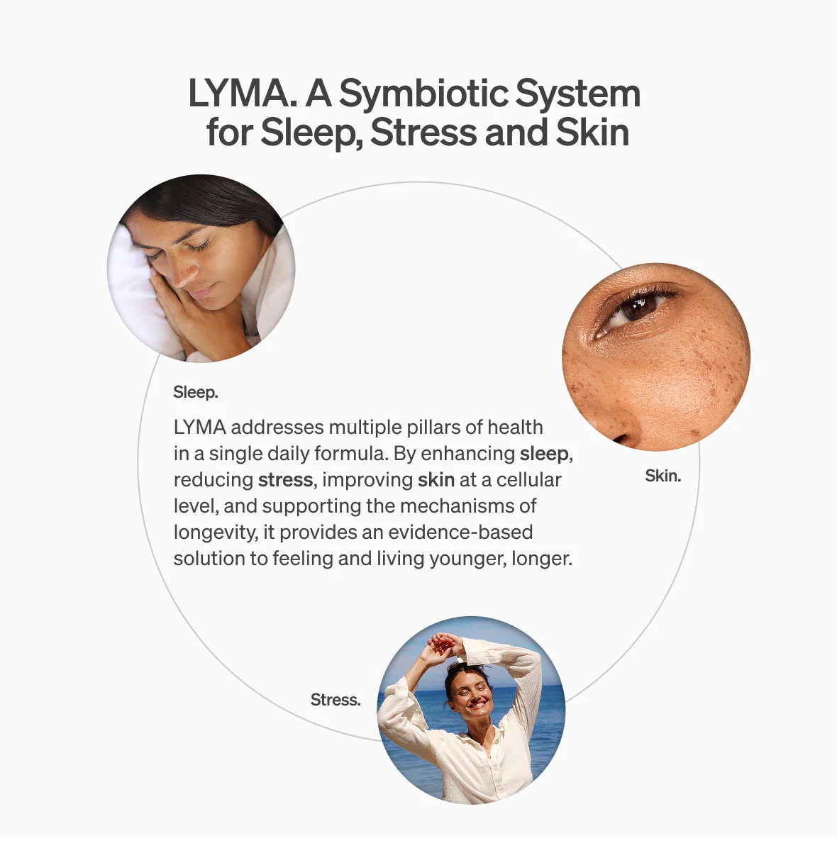 Lyma - The LYMA Supplement - Image 7